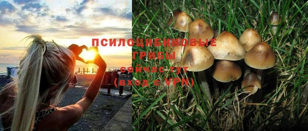 ешки Майский