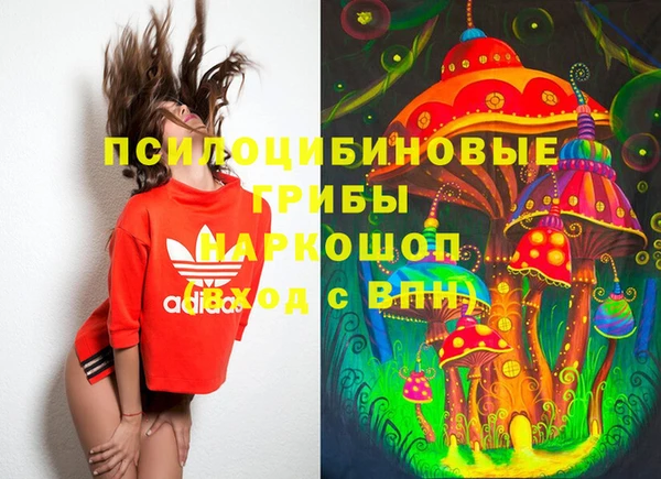 тгк Абинск