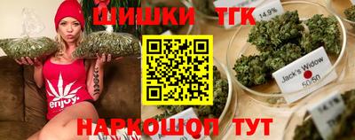 индика Беслан