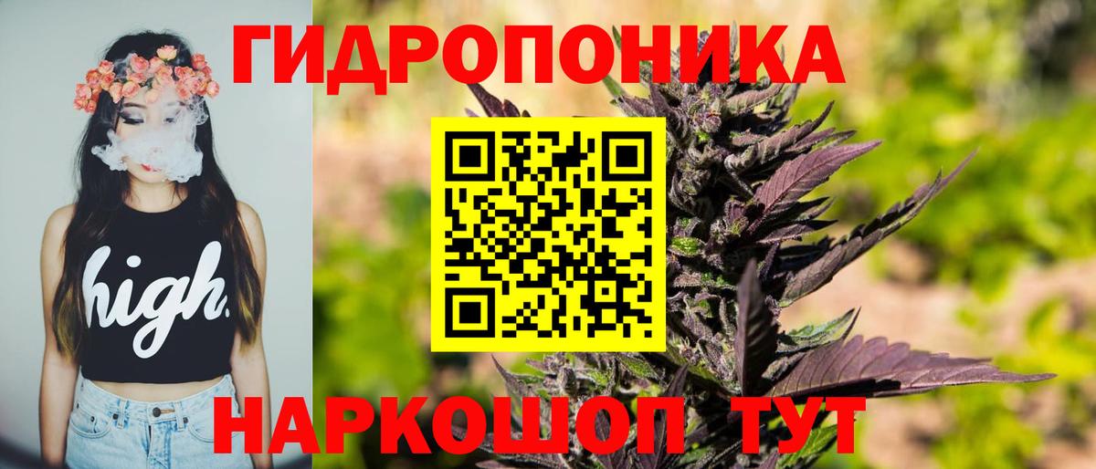 Бошки марихуана гибрид Воронеж